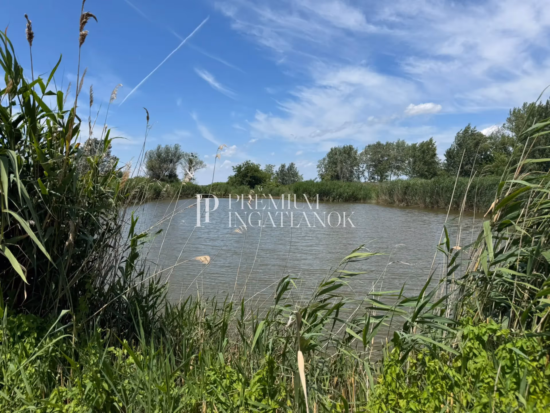 2911 Mocsa - Eladó Vadkacsás-tó természeti ékszerdoboz