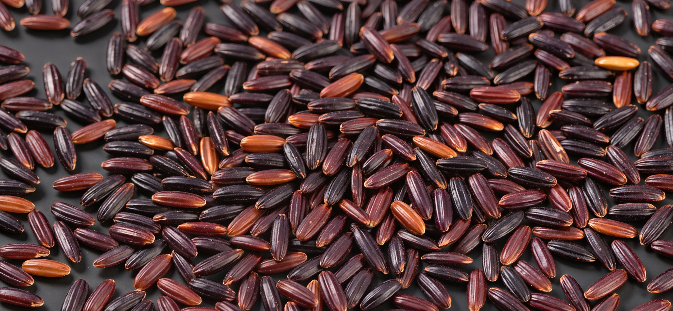 Hard type Capsules for diet supplements