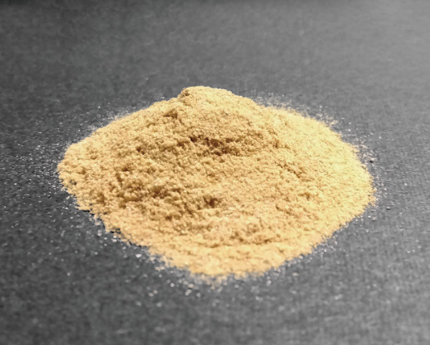 Tokyo International Forum on Supplemet Ingredients