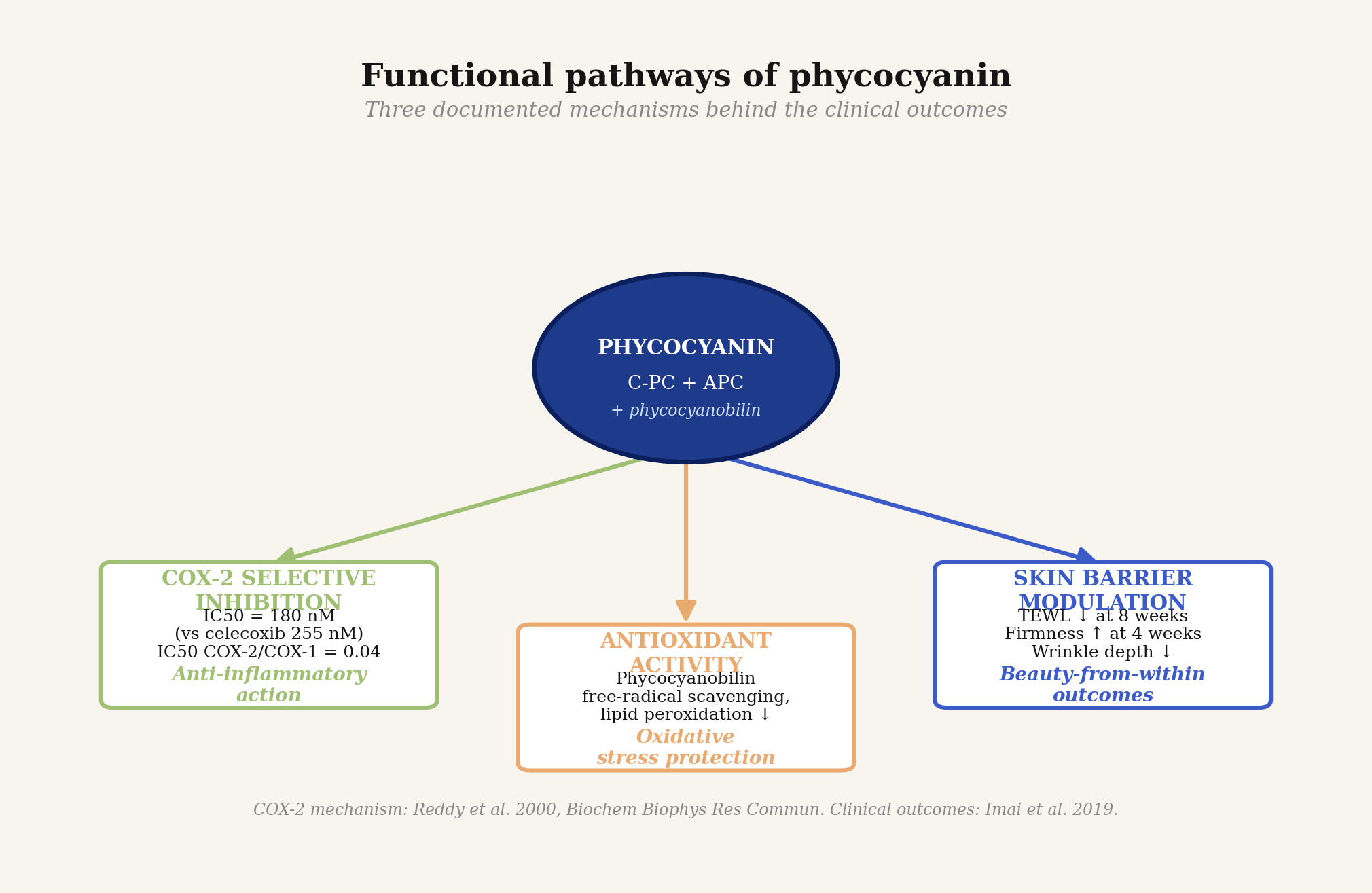 Three documented pathways of phycocyanin: COX-2 inhibition, antioxidant activity, and skin barrier modulation