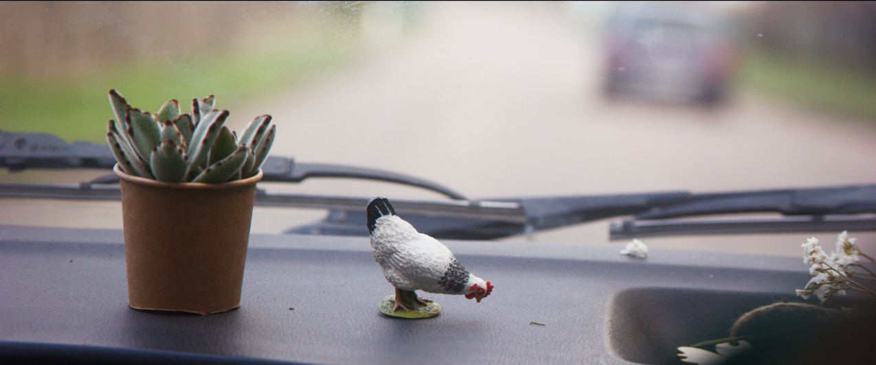 LES POULETTES