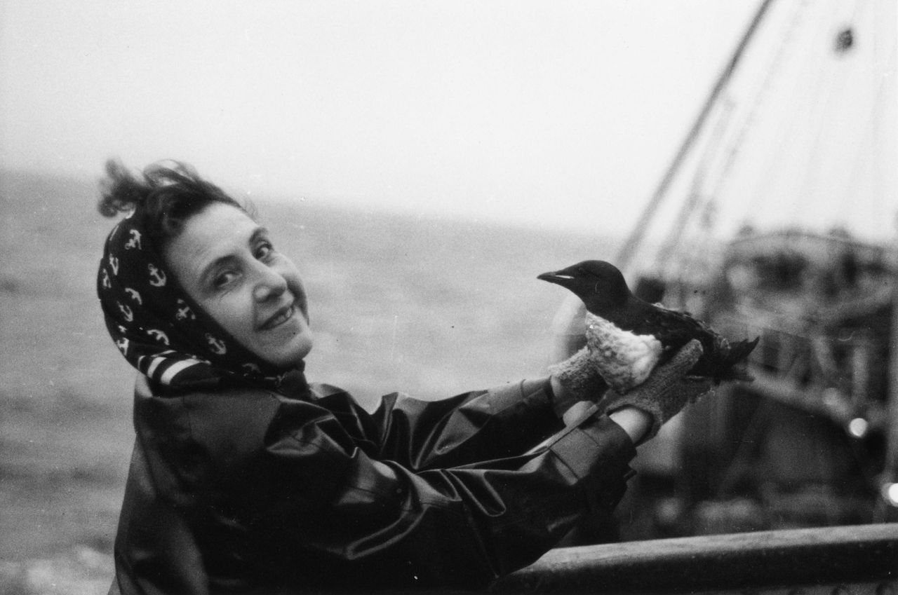 Le Voyage de documentation de Madame Anita Conti