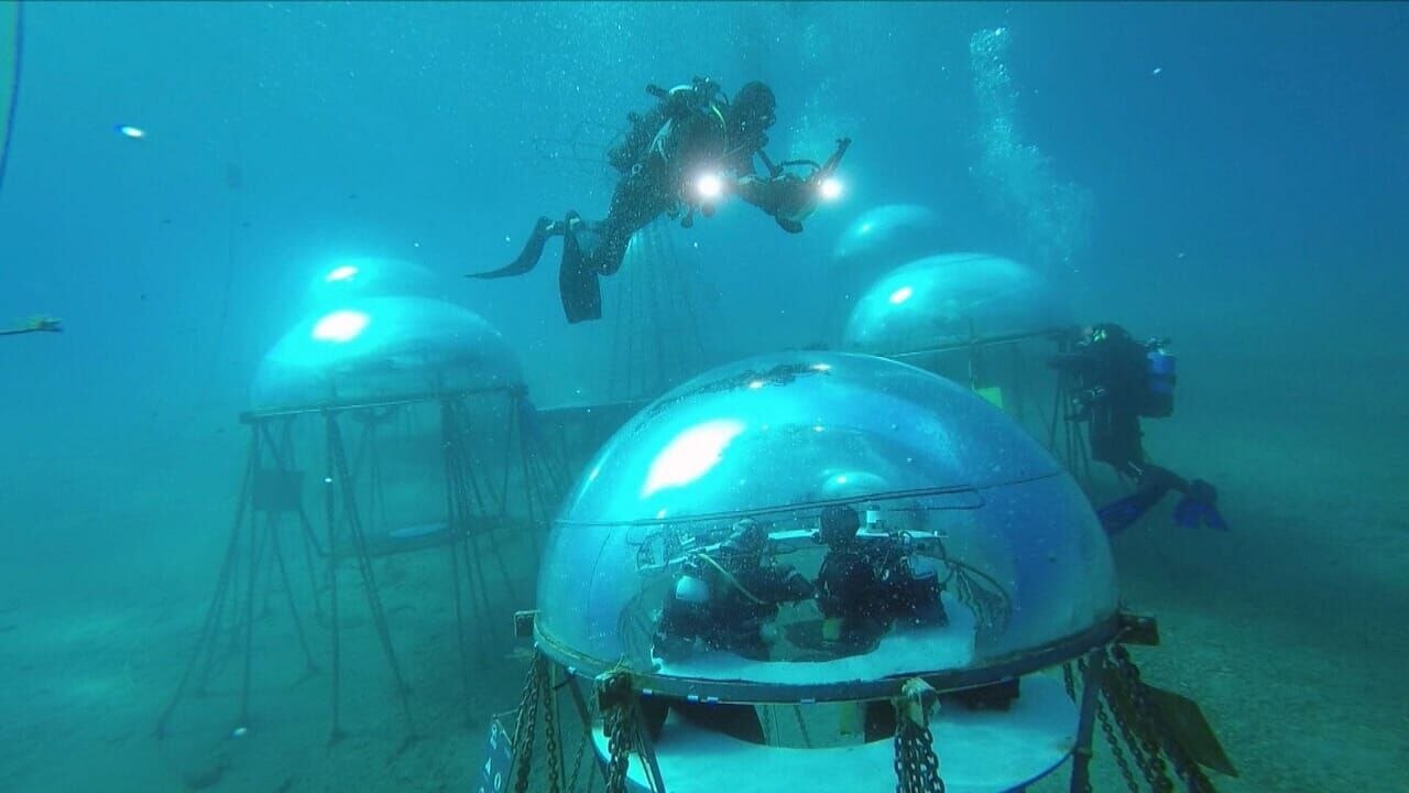 OCÉAN, LE NOUVEL ELDORADO