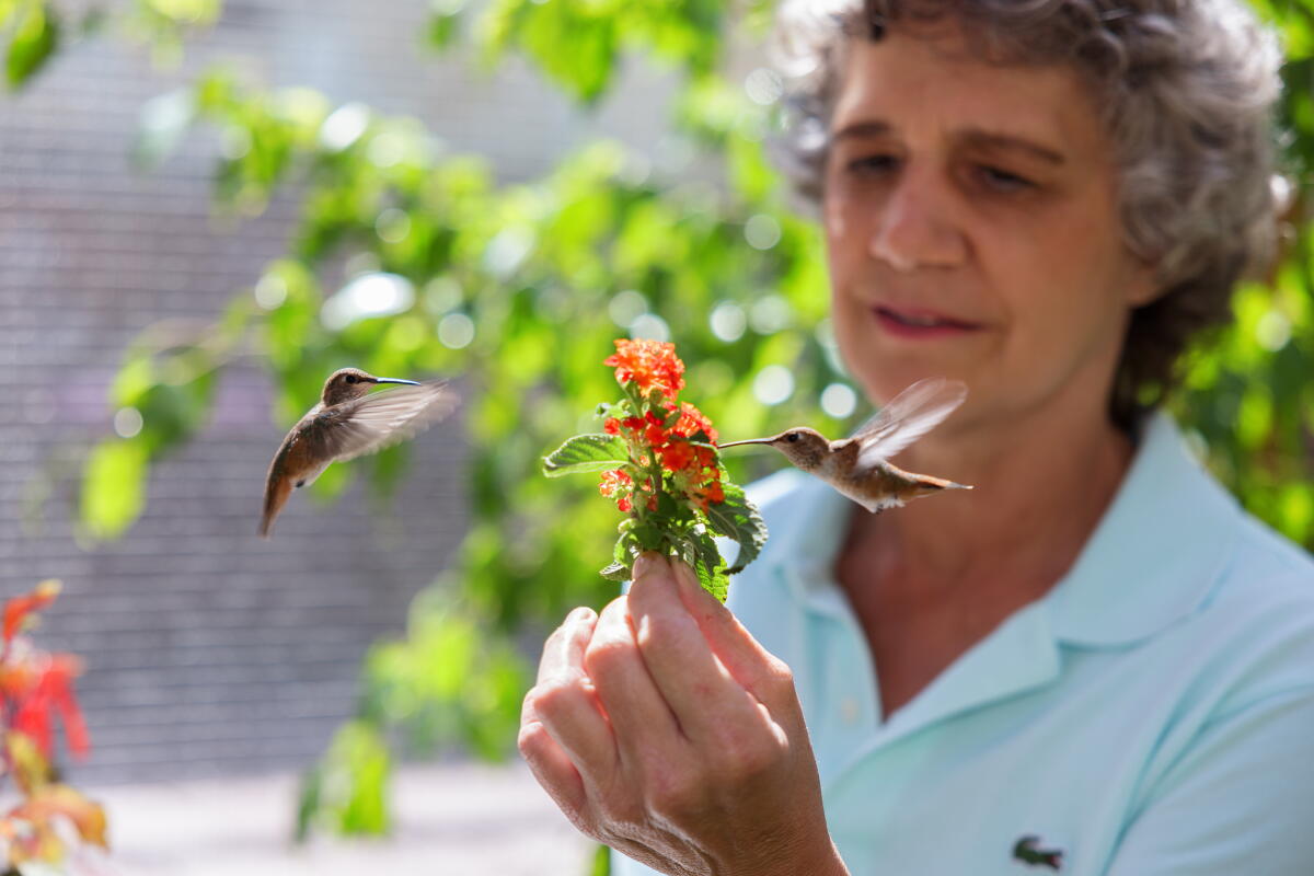 TERRY MASEAR, la part du colibri