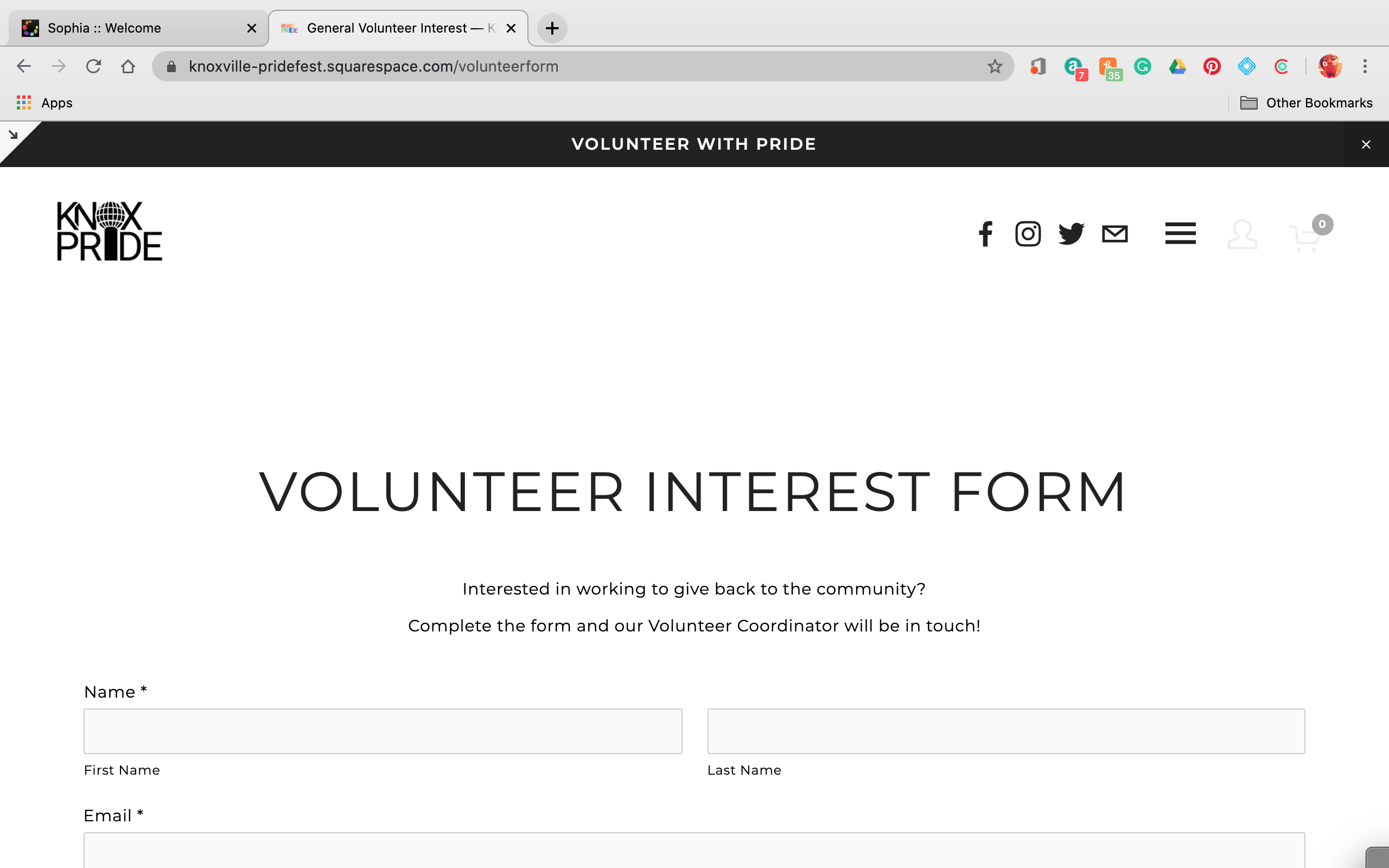 Knox Pride Volunteer Interest Form Top.