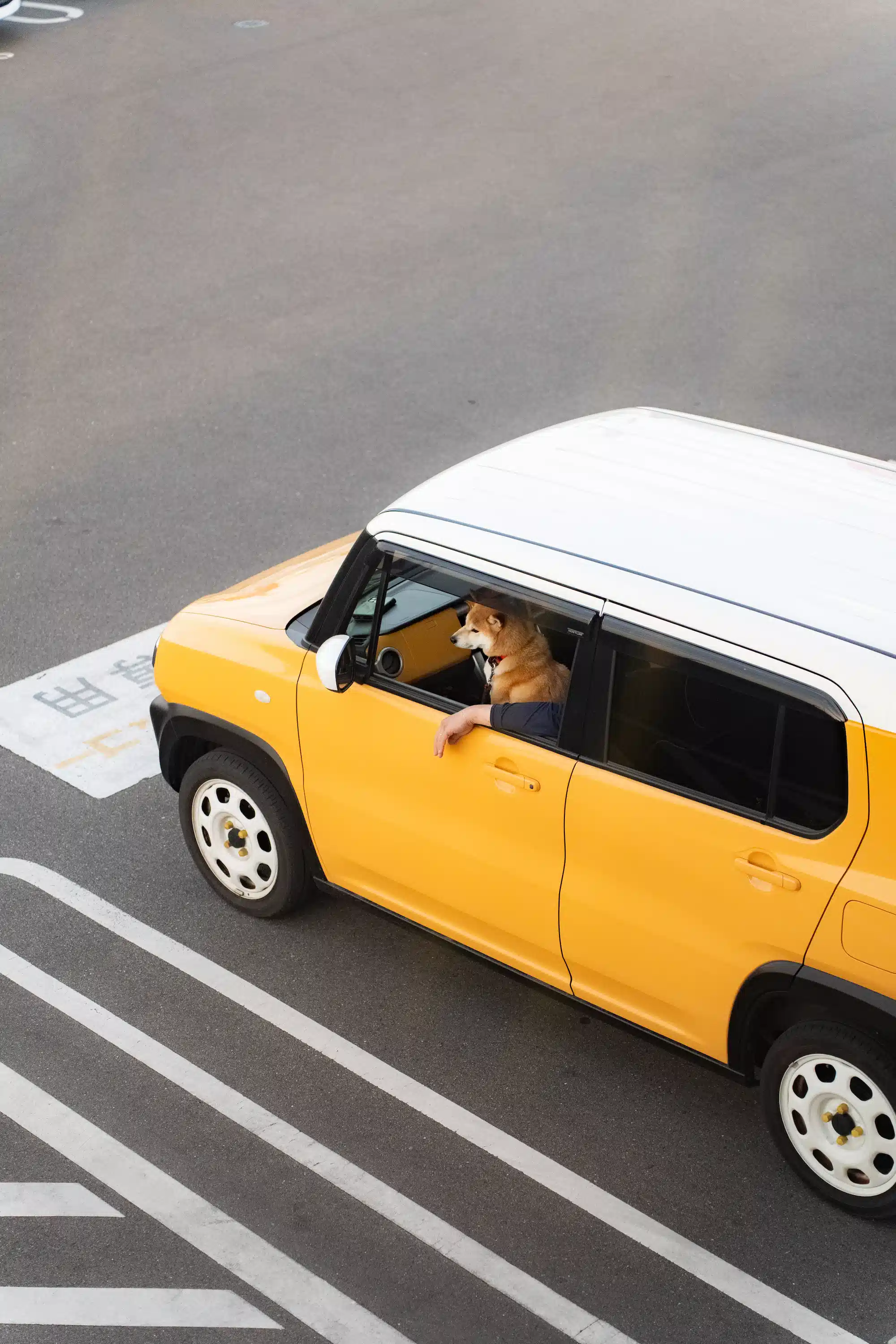 Petite voiture japonaise 