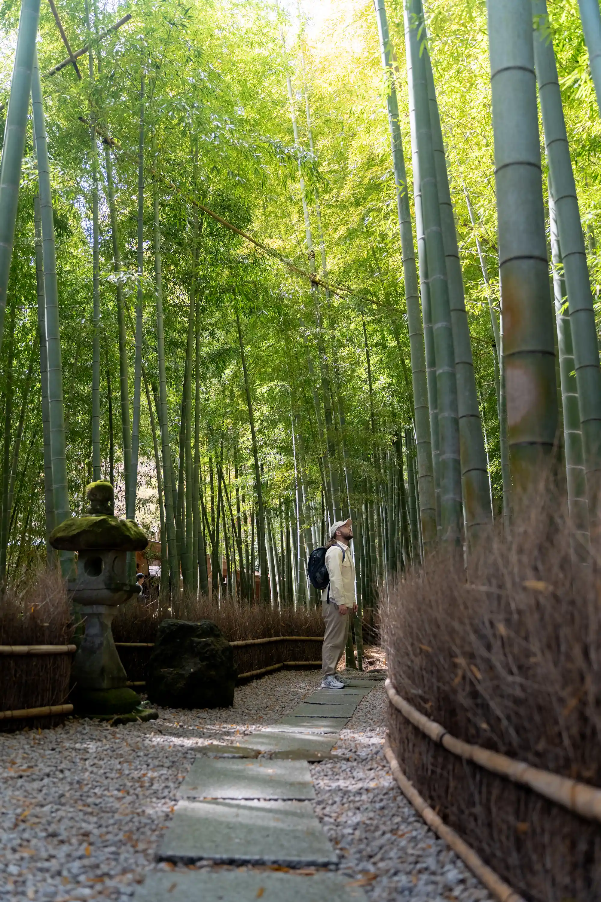 Temple Hokoku-ji à Kamakura