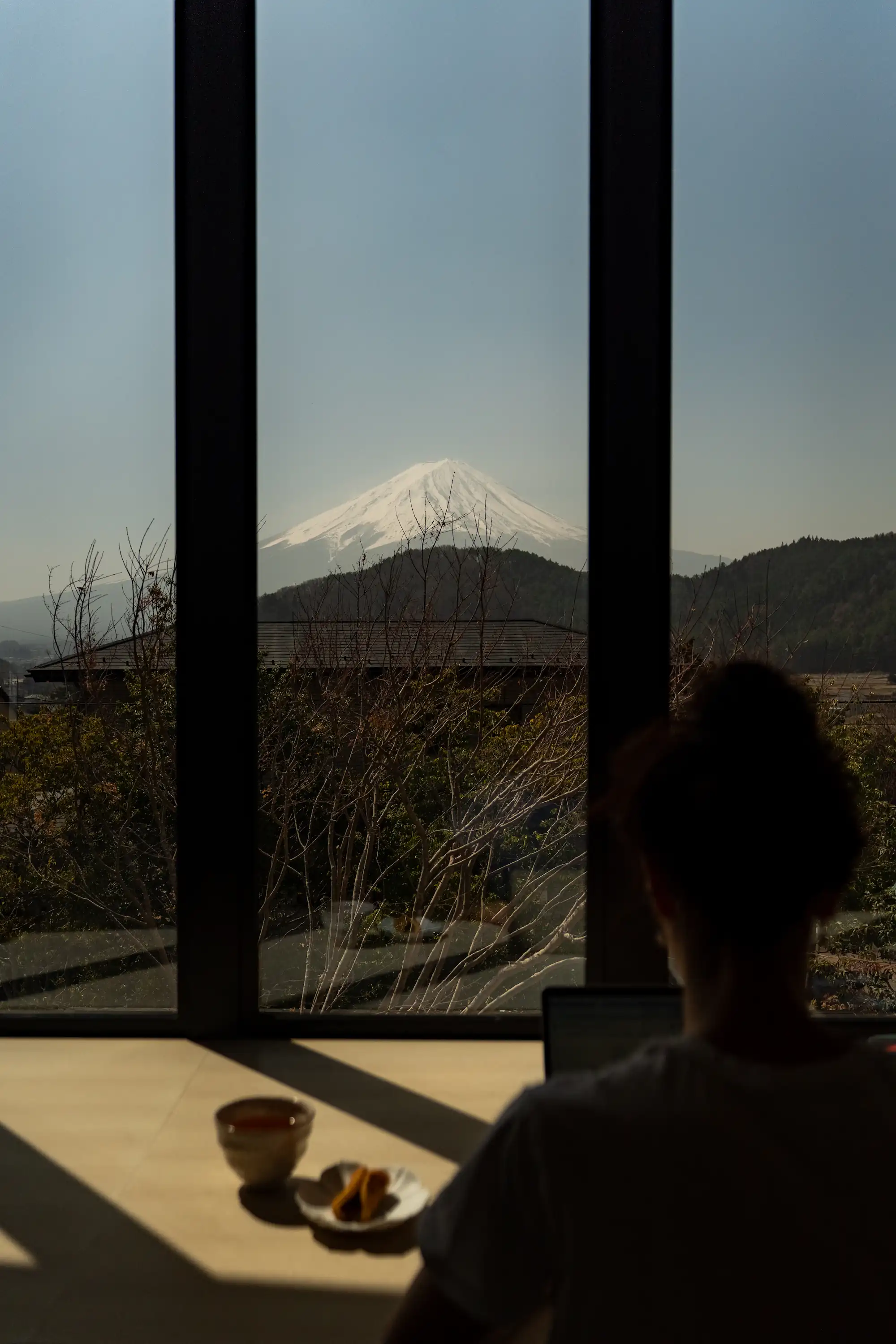 ikoi Fuji