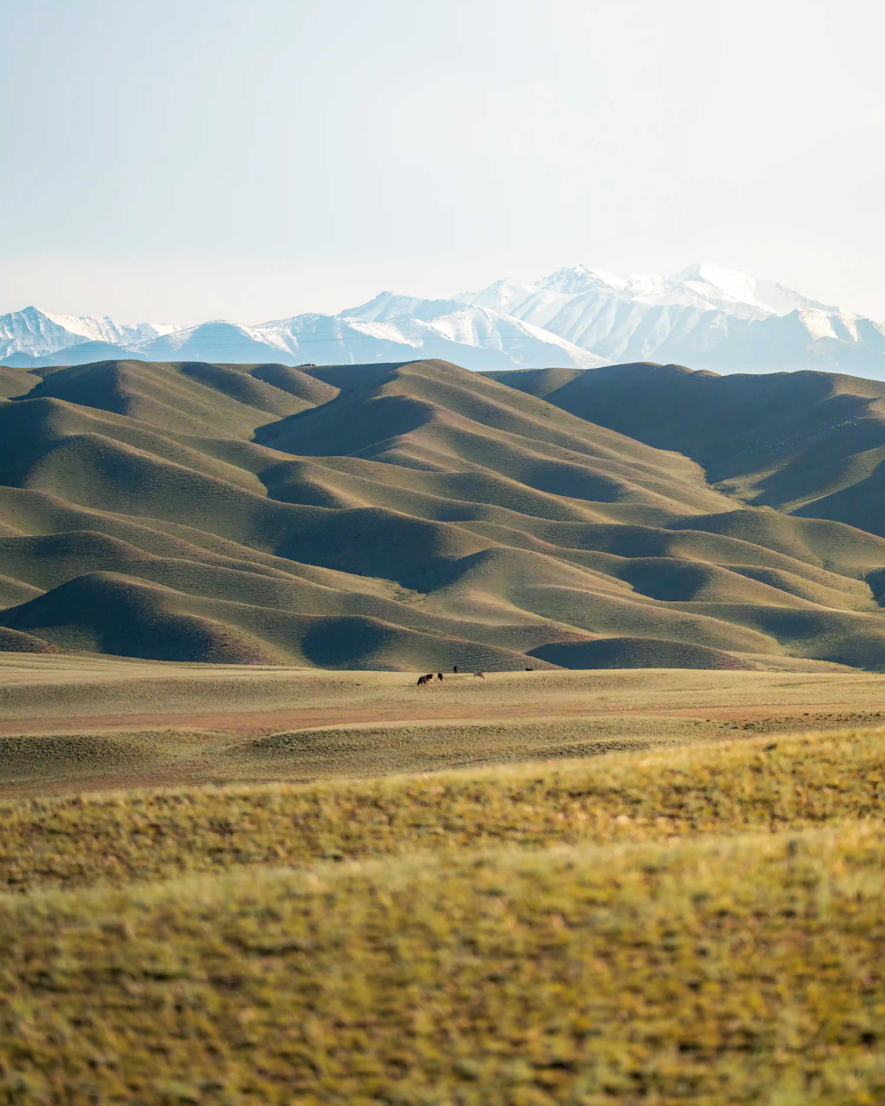 Black canyon, vers Saty, au Kazakhstan