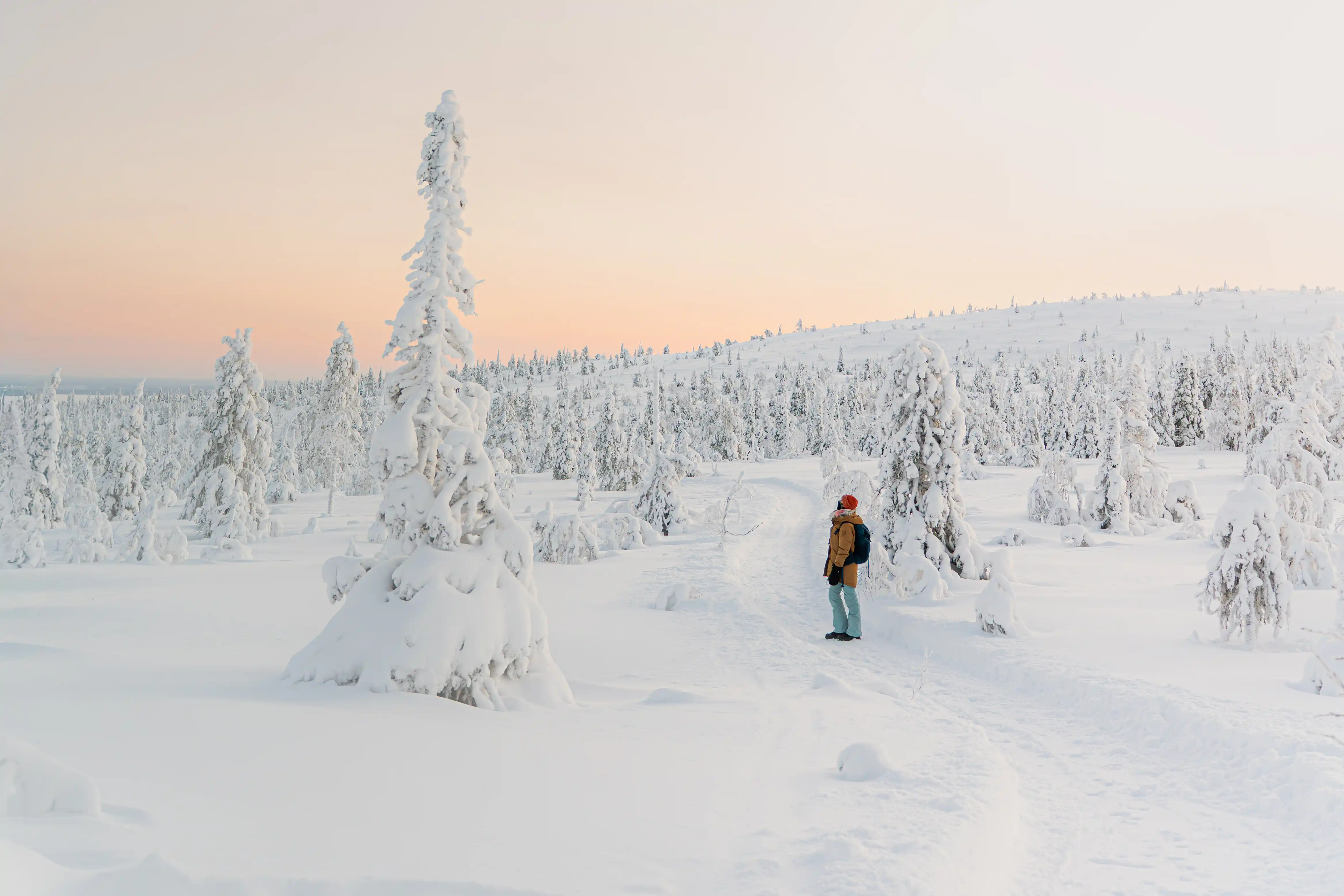 E-Book Laponie Finlandaise : notre guide complet pour un voyage féérique