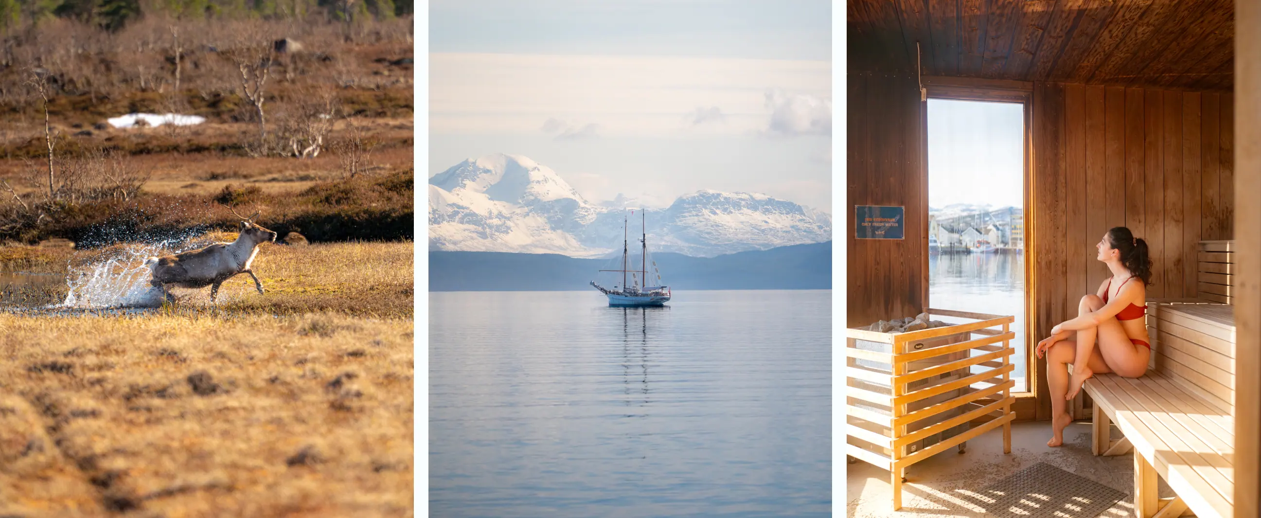 Renne, bateau et sauna