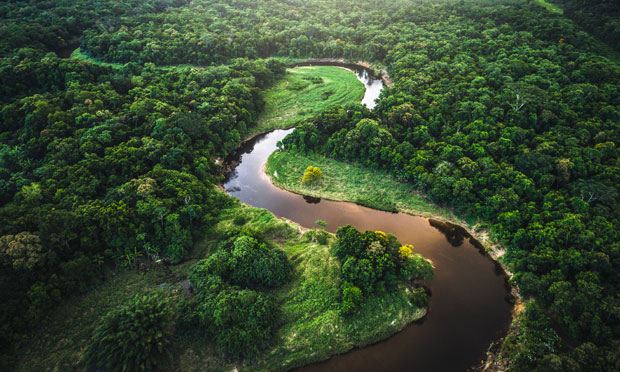 river running through forest