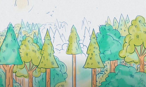drawing of forest trees