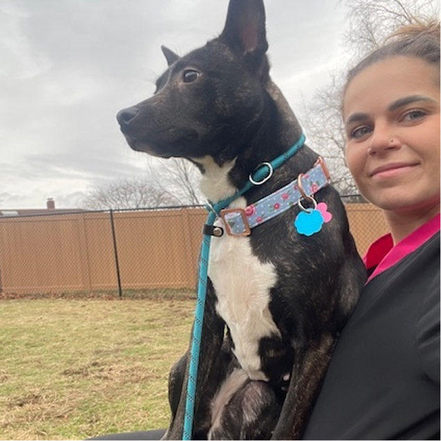 Sponsorable dog, Twinkie