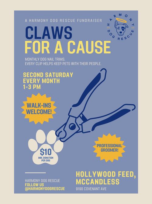 A poster for the Claws for a Cause fundraiser event.