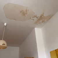 Schimmelpilzsanierung in Berlin
