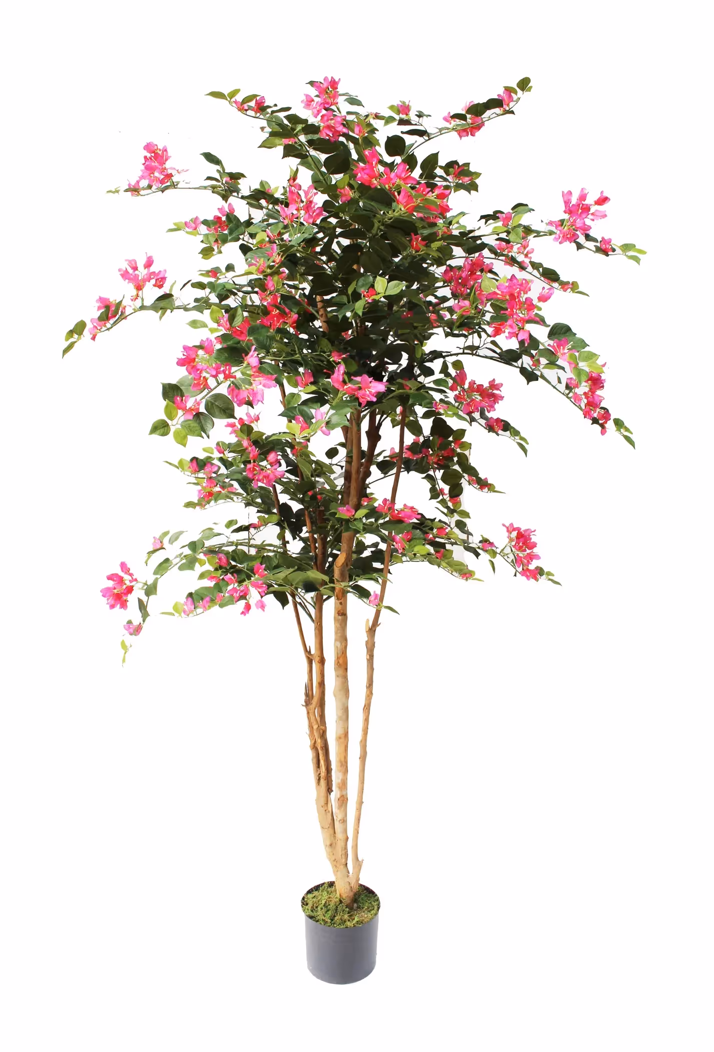 Artificial Cherry Blossom & Other Flowering Trees