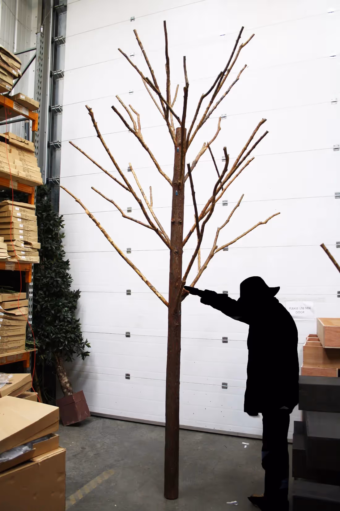 Bare Trees - example showing size