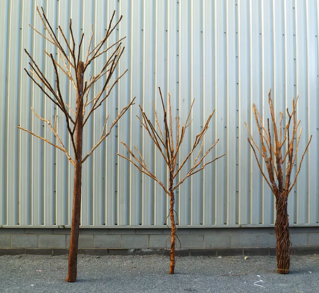 Three Bare Trees - example 01