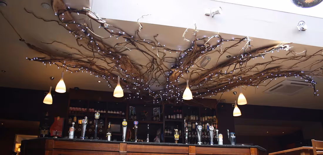 Use of Driftwood Sculpture Trees example 05