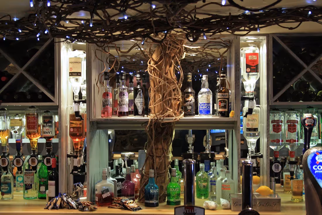 Use of Driftwood Sculpture Trees example 01