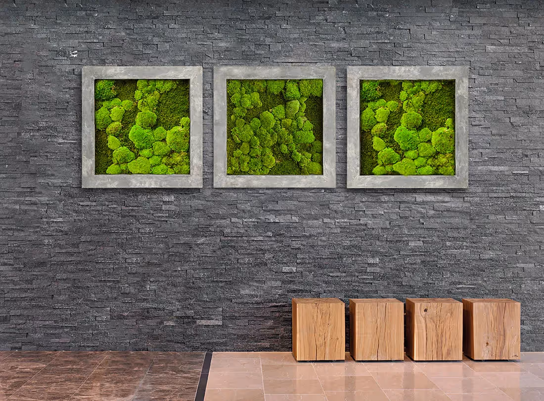 Moss Frame example of use 02