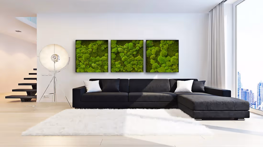 Moss Frame example of use 03