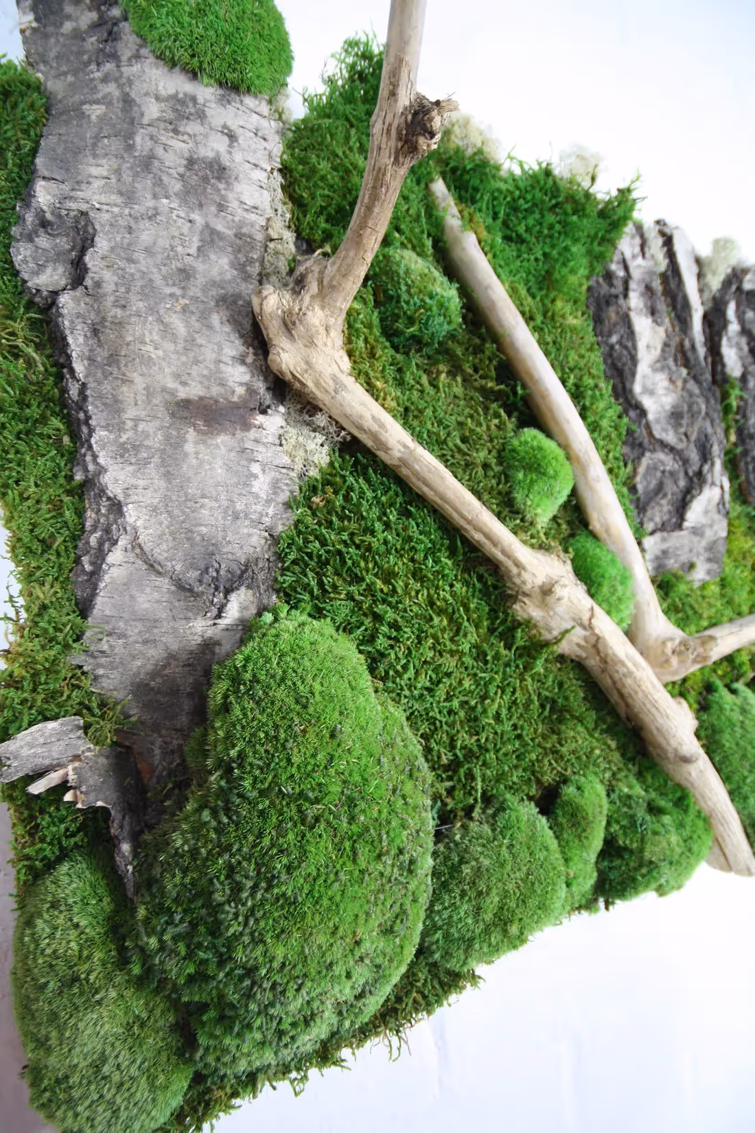 Moss Frame example close up 02