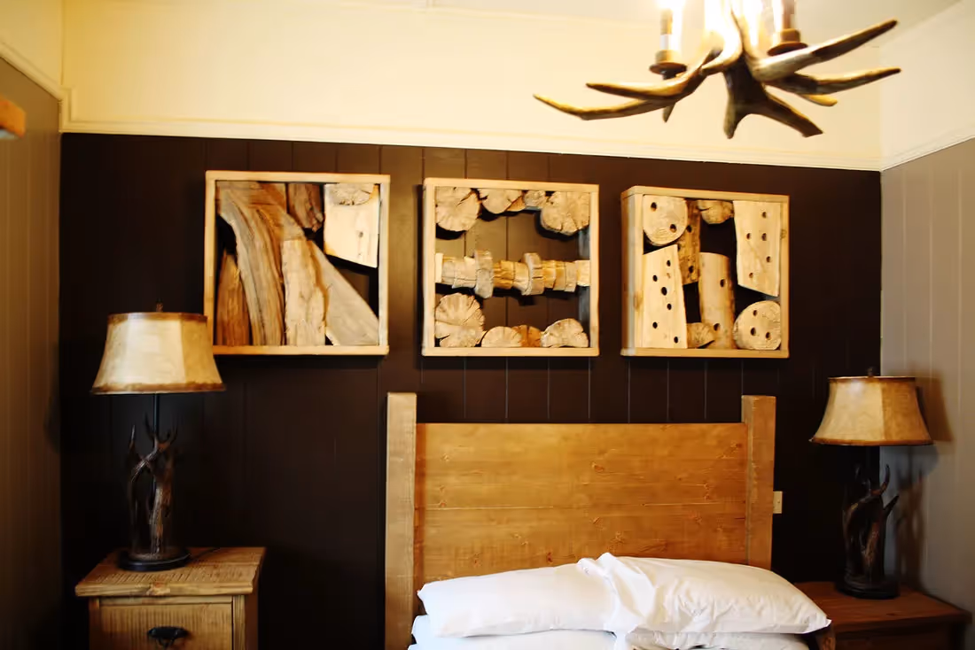 Driftwood Frames from plantART example 009