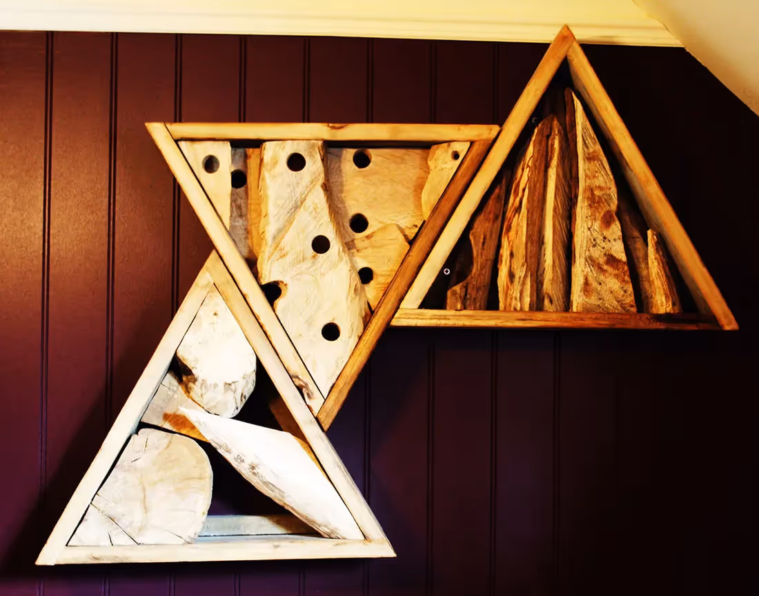 Driftwood Frames from plantART example 008