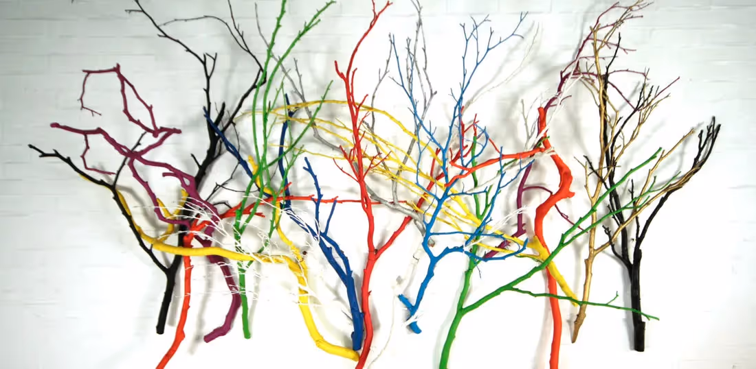 Coloured Branches