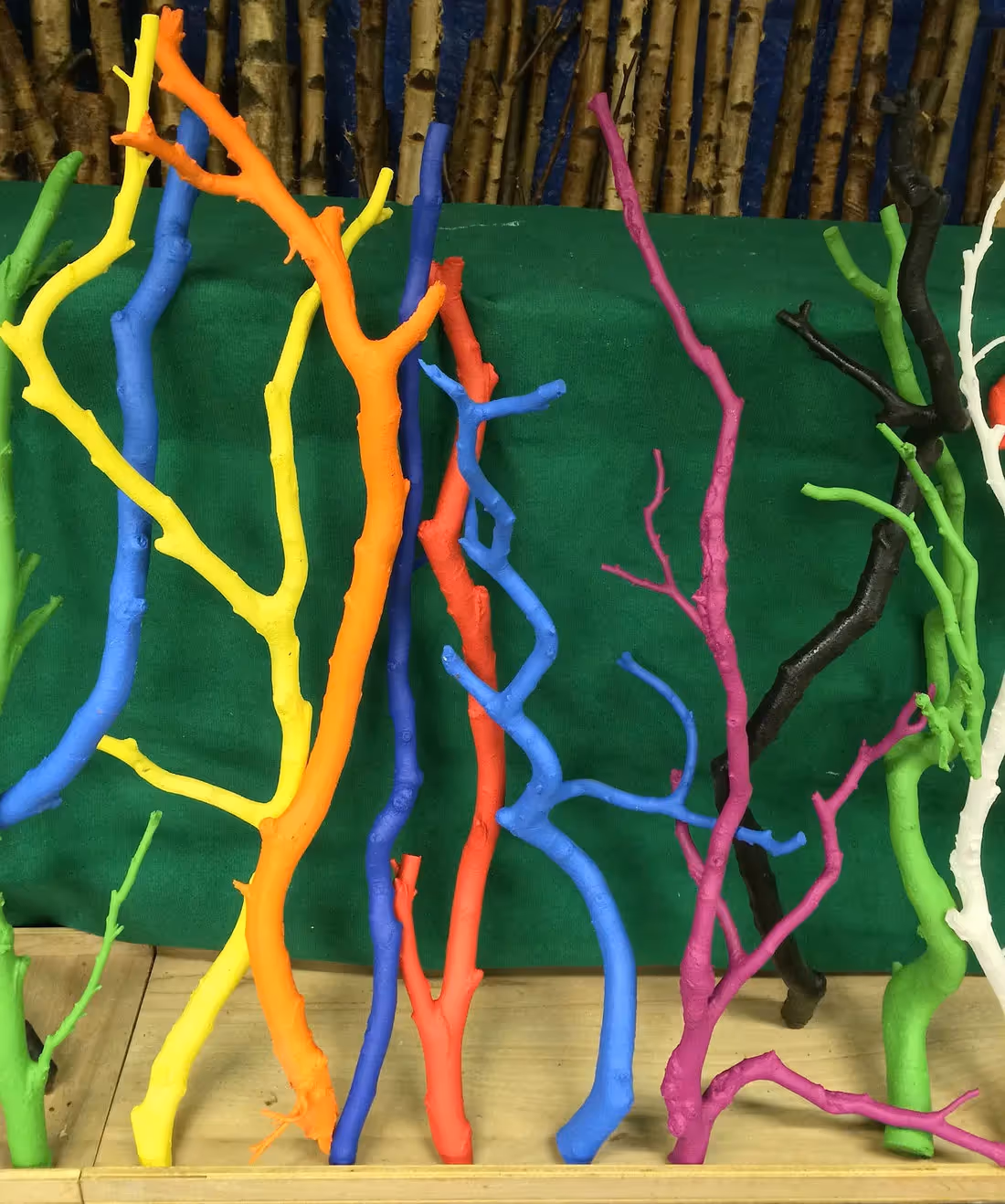 Coloured Branches by plantART for display example 003