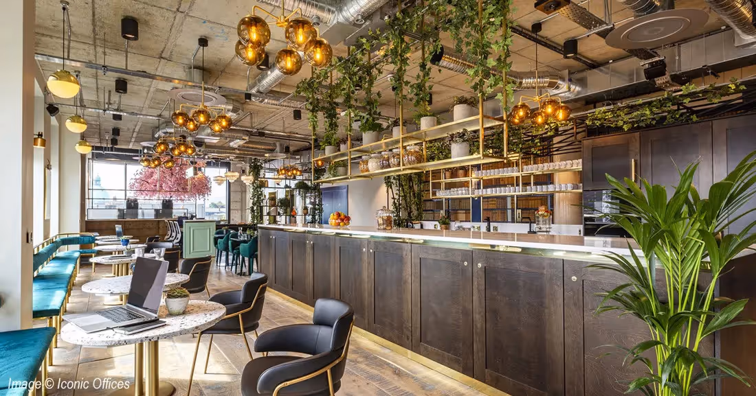 Ceiling and Bar Mixed Planting from plantART example 004