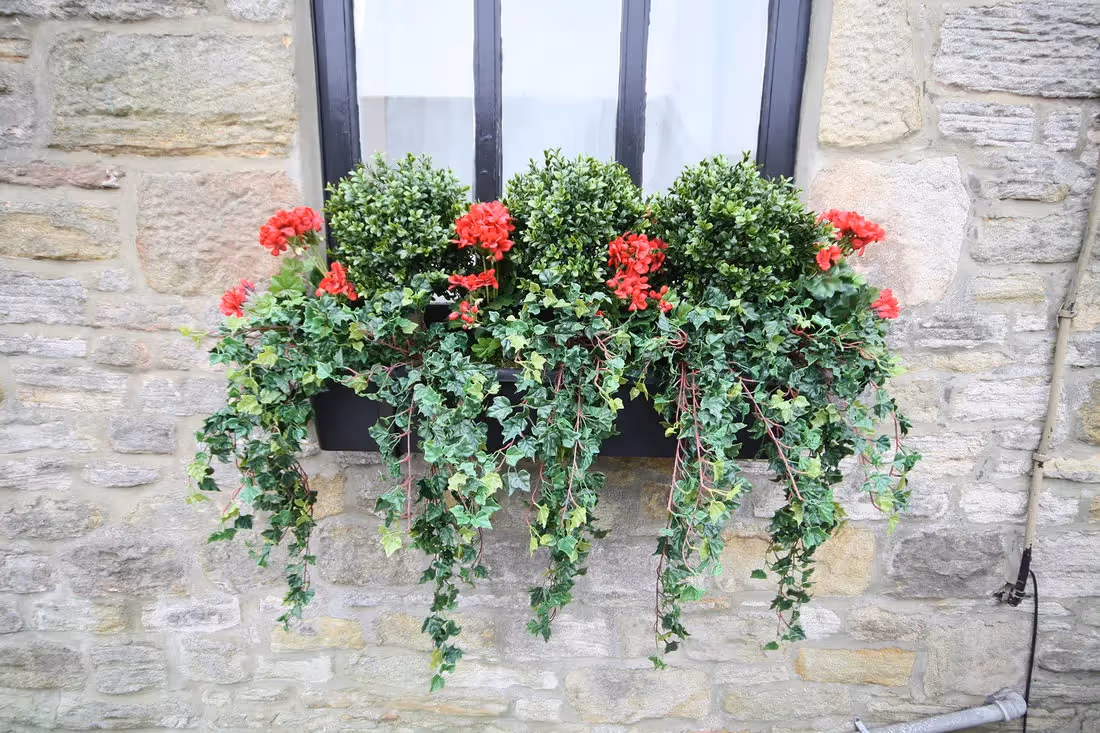 plantART Outdoor Window Boxes 008
