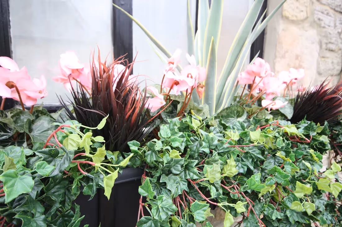 plantART Outdoor Window Boxes 011