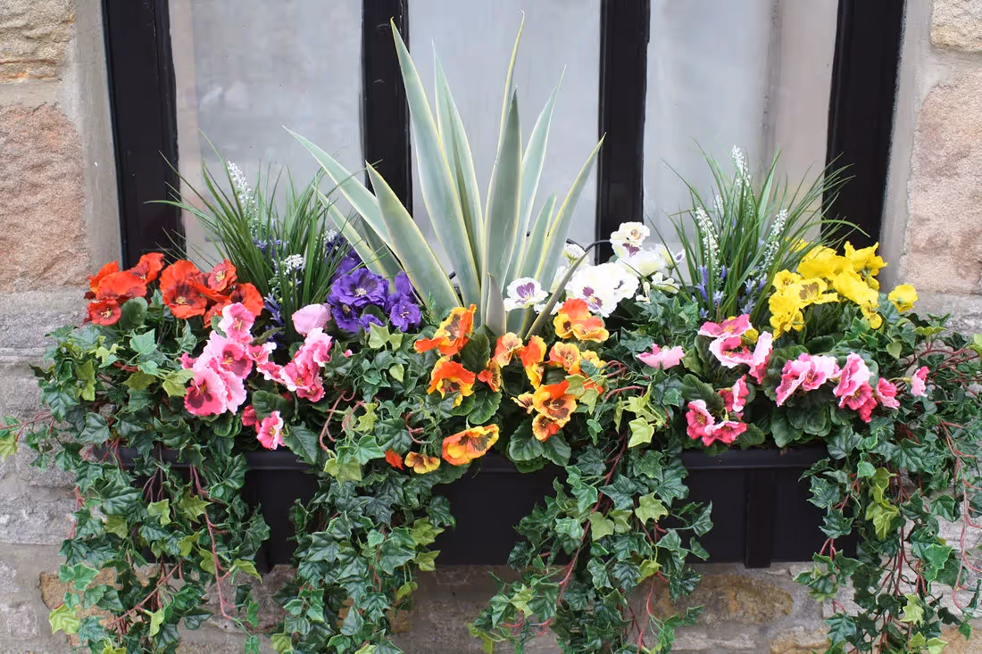 plantART Outdoor Window Boxes 014