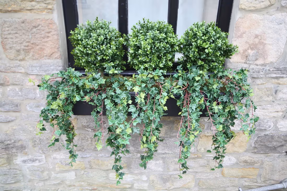 plantART Outdoor Window Boxes 010