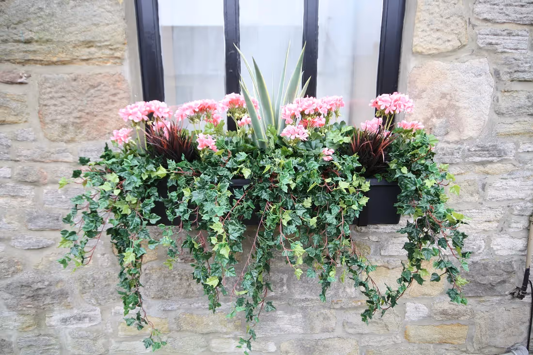 plantART Outdoor Window Boxes 004
