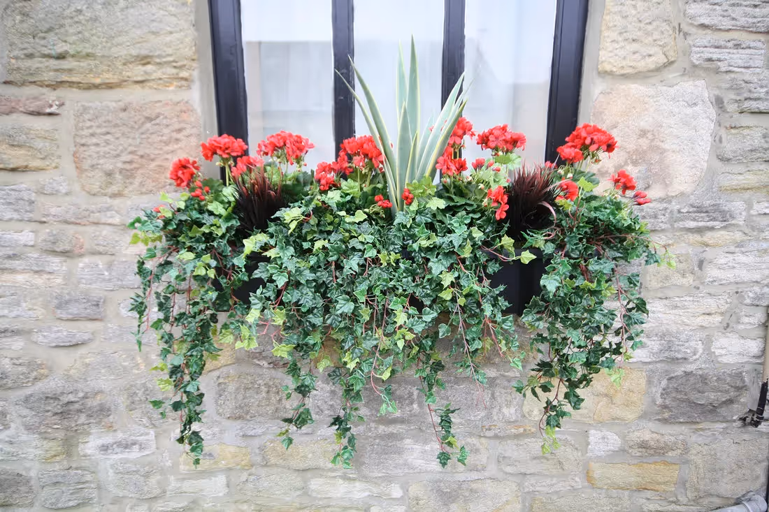 plantART Outdoor Window Boxes 005