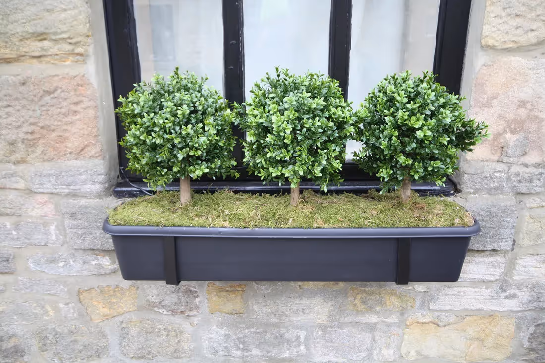 plantART Outdoor Window Boxes 009