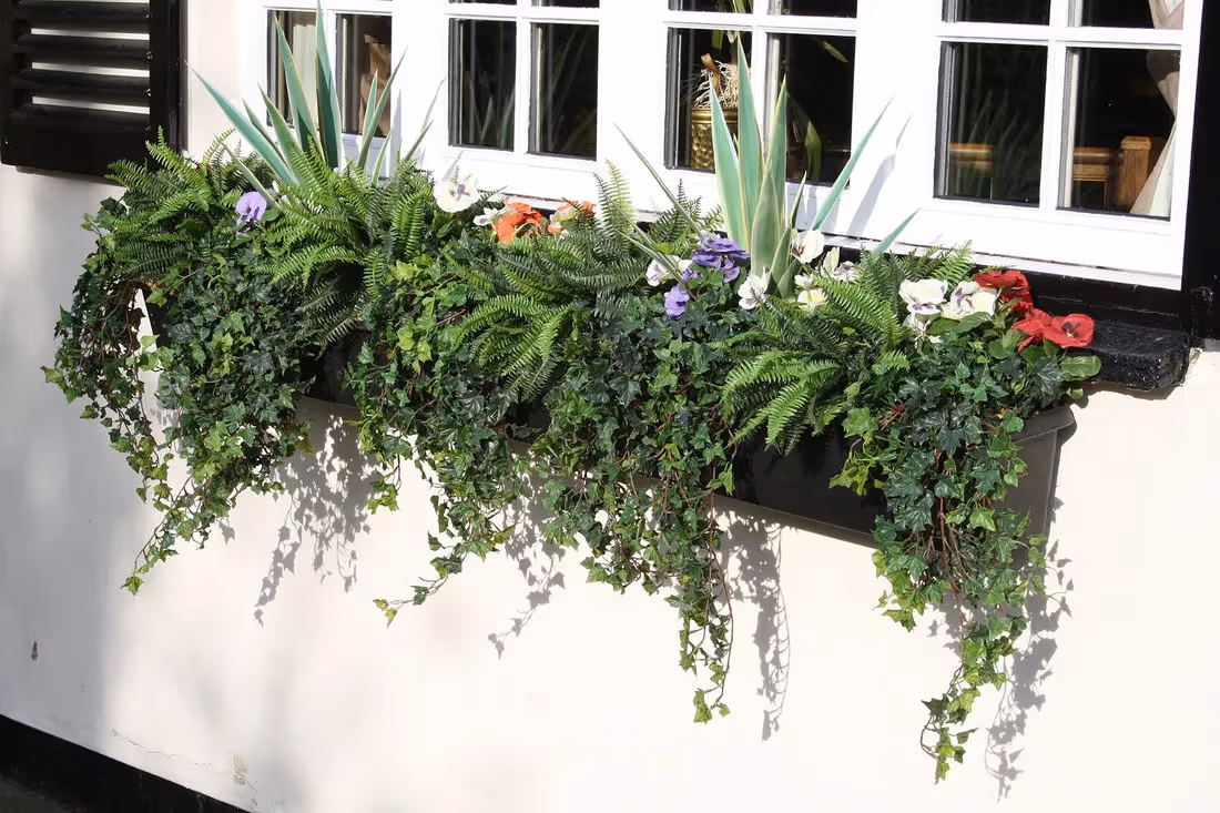 plantART Outdoor Window Boxes 002