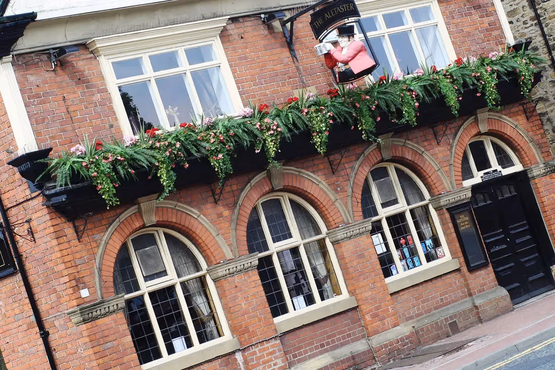 plantART Survival Course!