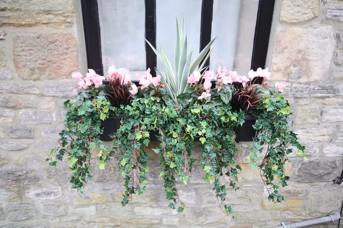 plantART Outdoor Window Boxes 012