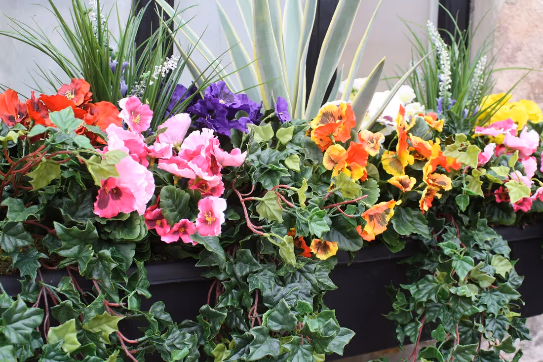 plantART Outdoor Window Boxes 003