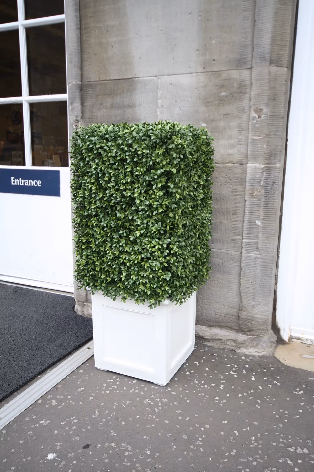 creative ideas for the use of topiary cubes 007