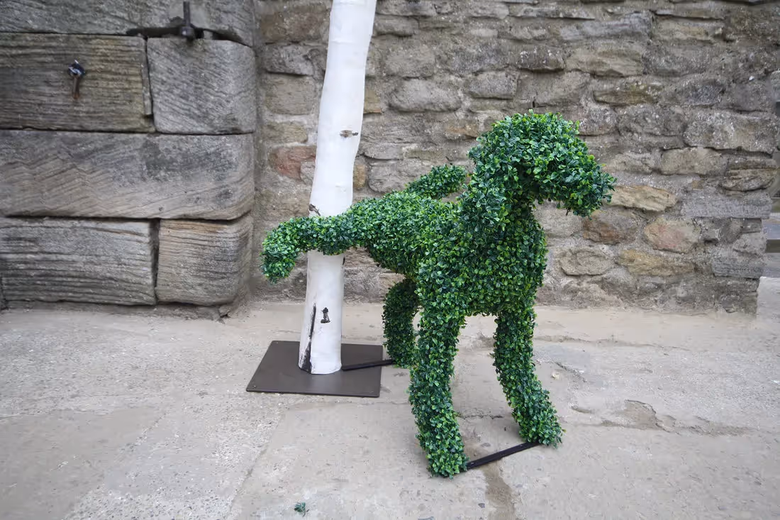 creative ideas for the use of topiary featuring animals 001