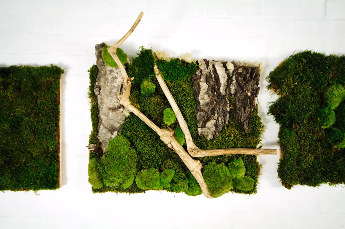 Creative use of HQ Preserved Moss Green Wall