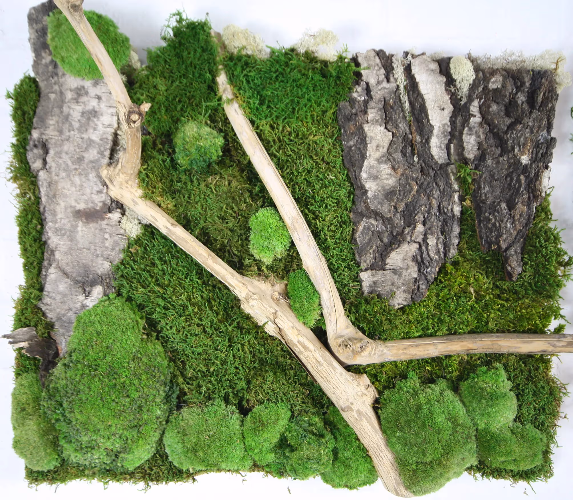 Creative use of HQ Preserved Moss Green Wall 02