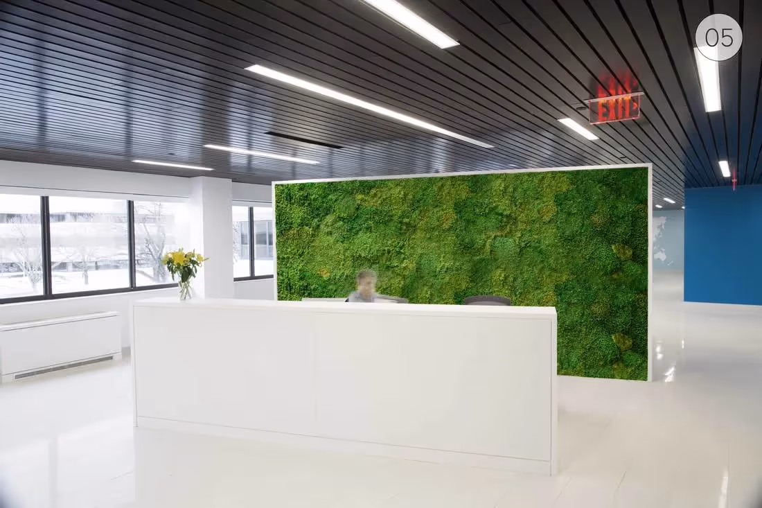 Creative use of HQ Preserved Moss Green Wall in office