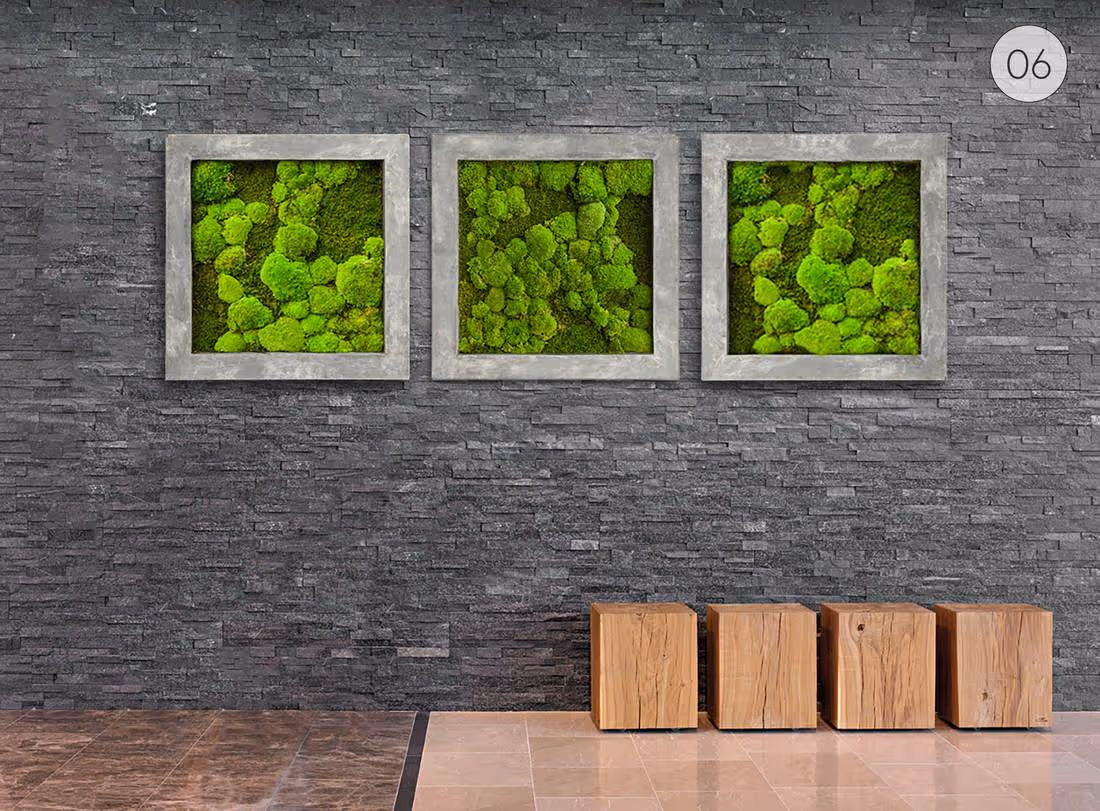 Creative use of HQ Preserved Moss Green Wall on wall